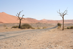 Namib-Wste